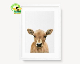 Calf Print, Baby Cow Farm Animal Print, Modern Nursery Wall Art, Calf Photo, Cute Farm Animals, Baby Farm Animals, Little Animals Print, Cow