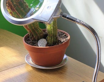 5x Table Magnifier Clamp Lamp Desk LED Magnifying Glass Coin Stamp Currency Beading Biology Watch Repair Electronics Minerals Crafts Sewing