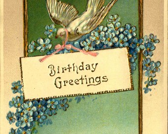 Birthday, Pink, Ribbon, Dove, Greetings, c1910, Embossed, Vintage Postcard BD485396