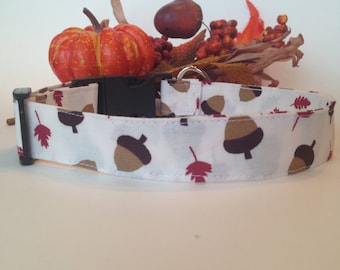 Fall Acorns Dog Collar - Adjustable