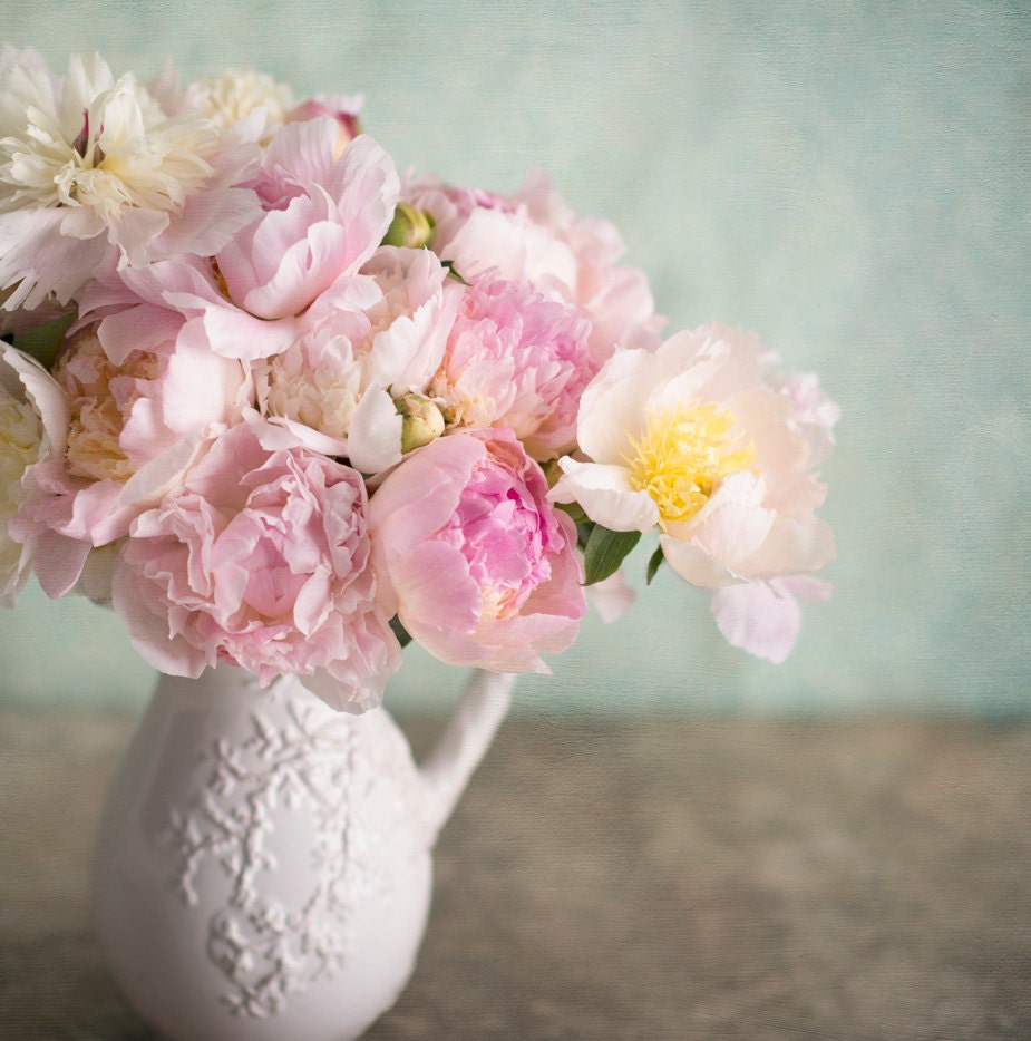 Peony Photography French Peonies Still Life Fine Art