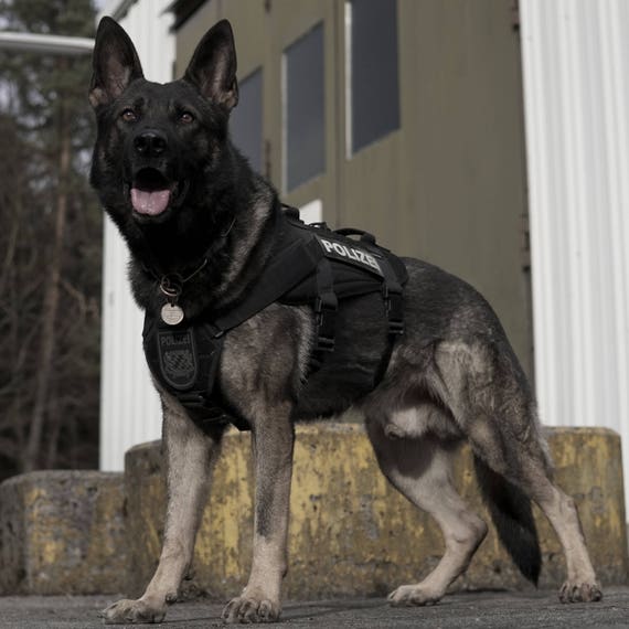 dog tactical vest military harness heavy cargo gear duty k9 camo pouch many