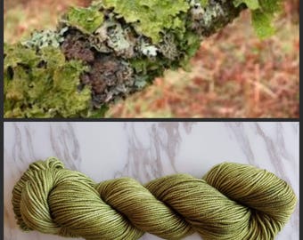 Hand Dyed Yarn, Merino, DK Weight Tonal Yarn, Perfect for Hats, Scarves, Sweaters and all Winter Accessories - Lichen