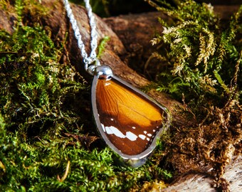 Real Monarch Butterfly wing pendant necklace