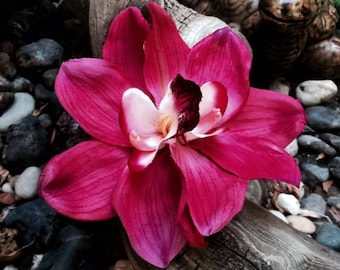 Fuschia/Magenta double orchid tropical flower hair clip