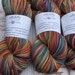 Elliebelly's Pixie Worsted SW Merino Yarn - "Vespers"