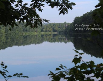 Lake Through the Trees