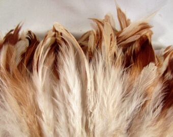 30 Natural EggShell loose Schlappen 6 to 7 inches K76