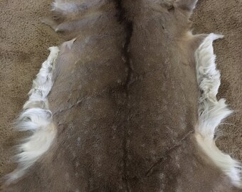 Chocolate Spotted Fallow Deer Hide