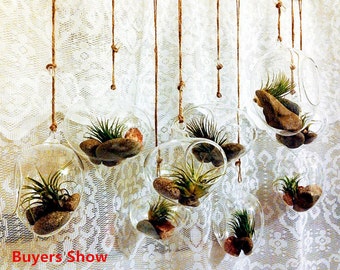 Set of 3 Air Plant Holders/Onion Terrarium //Indoor Succulent Garden // Hanging Eggs Shaped Glass Planters