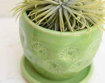 succulent planter // cactus planter // succulent pot // ceramic pot // flower pot