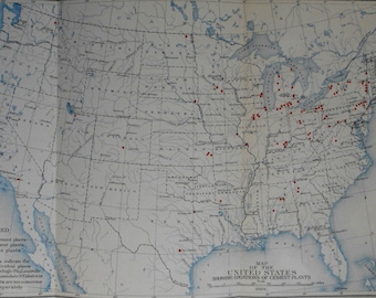 1904 United States Map, Antique USA, North America. Showing Locations of Cement Plants. Antique Original Lithograph