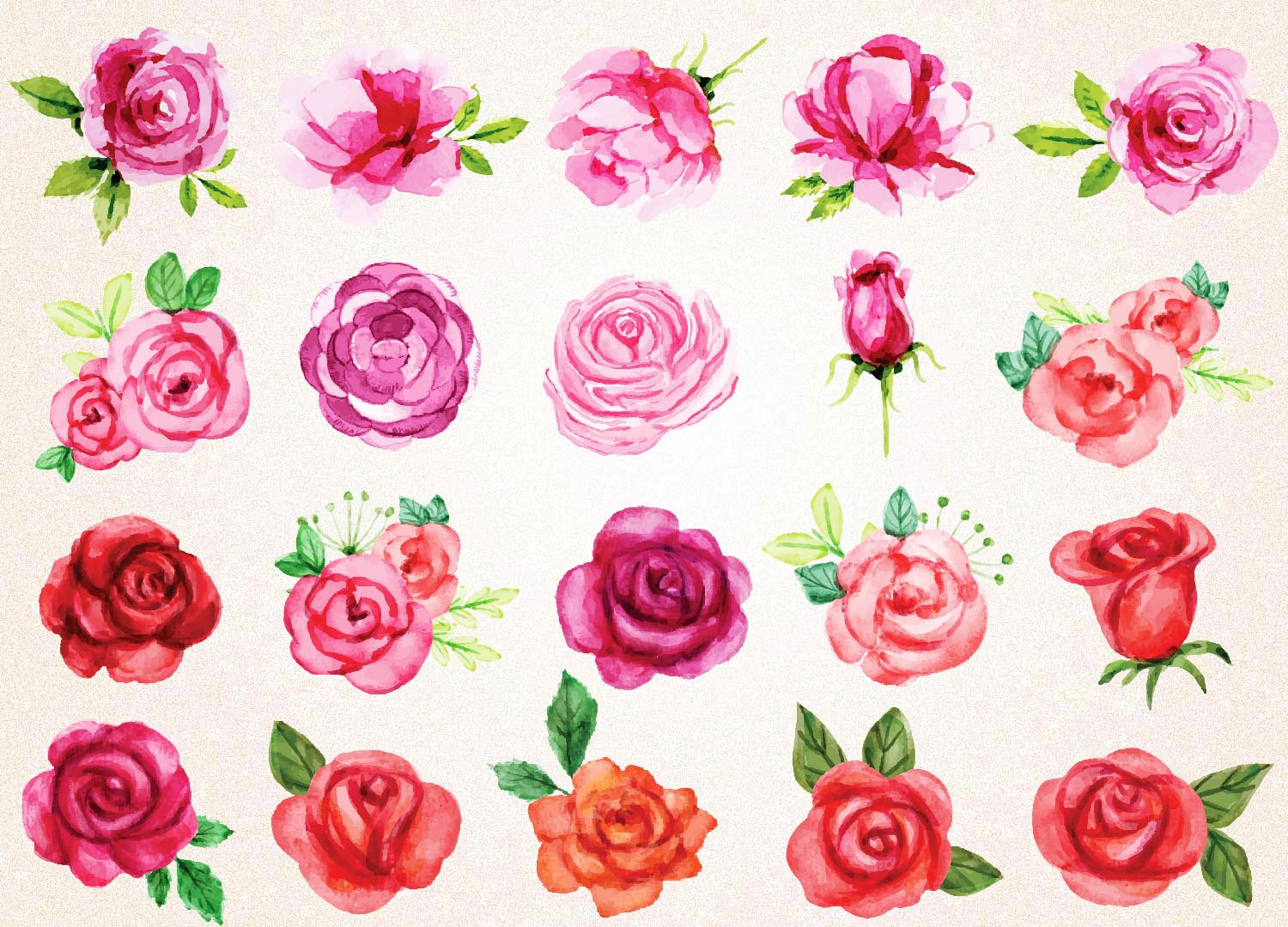 Download Watercolor Roses Clipart/Watercolor Roses SVGPNG 300 ppi/Red