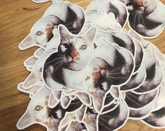 Custom Stickers of Your Furry Friends!