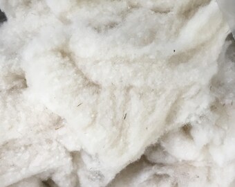 Cormo Wool Neps - Over a POUND! On Sale