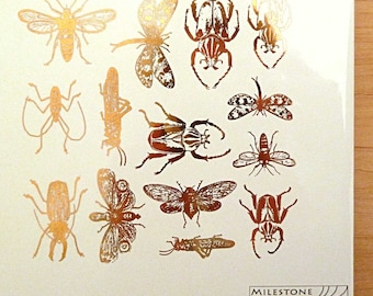 Mixed Insect Ceramic Decals, Glass Decals or Enamel Decals