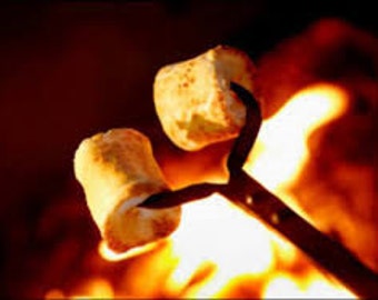 Toasted Marshmallow Premium Fragrance Oil Used To Make Personal Fragrance - Candles- Soap- Bath Products -Cleaning Products-Diffuse