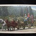 Postcard: Black Hills Stage Coach as in Gold Rush Days"