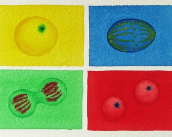 Mini Rainbow Mitosis - original watercolor - cell cycle