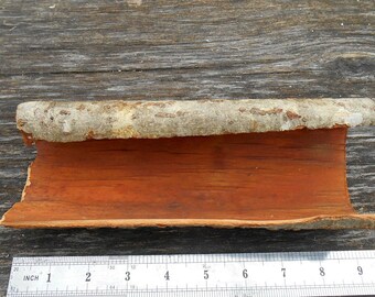 Alder Bark Floral Supplie, Natural Plate for Floral Arrangements