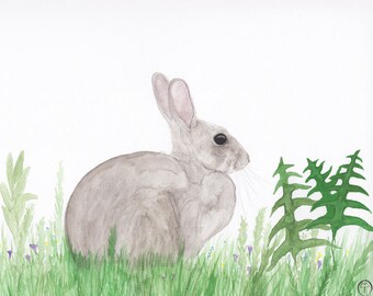 Rabbit watercolor, rabbit painting, rabbit print, rabbit art, rabbit & ferns