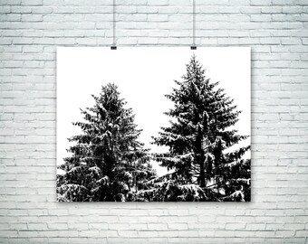 Nature Photography - Twin Pine Trees - Winter Wonderland - Forest Art - Holiday Christmas Tree - Home Decor - Wall Art - Negative Space