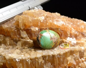 CS0443 - Turquoise Cabochon