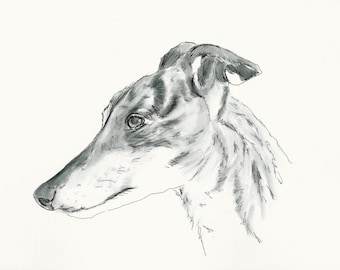 A4 Greyhound Print called "Tiggy"