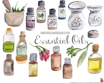 Essential oils clip art, hand painted watercolor clipart (5233)