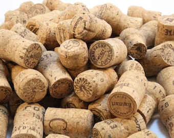 800 Champagne Corks - Premium Real Corks from Europe - Ideal for Craft - Corkboard - Christmas Decorations - Wedding Placecard Holder