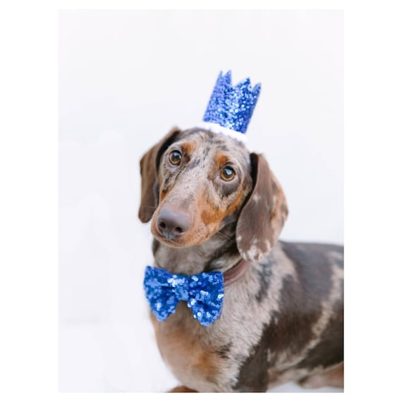 Dog Costume || Dog Birthday Hat + Bow Tie || Animal Party Hat || Cat Kitty Puppy Pig Birthday Crown Hat || Add Any Number