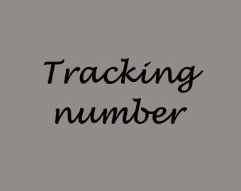 Tracking number to USA