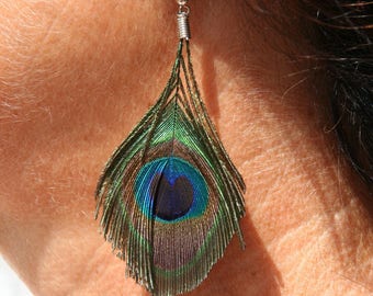 Peacock feather earrings