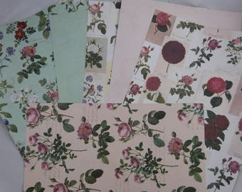 Assortment of floral papers "botanique"