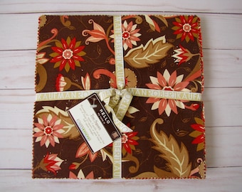 Swiss Chocolate Ten-Square by Amanda Murphy for Robert Kaufman