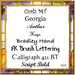 Pretty Font Series 003 - Instant download