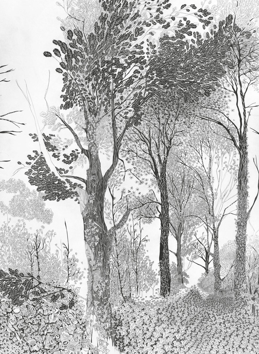 Tree drawing Woodland Print forest tree art print beautiful