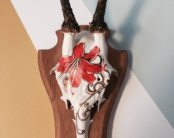 Decorated Deer Skull with Antlers