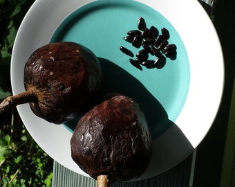 Annona reticulata sweet apple sugar apple wild-sweetsop