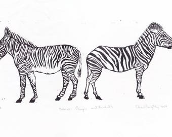 Zebras Linocut, Black and White Lino Block Print of Two Zebras, Grevy's zebra and Burchell's Zebra