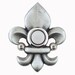 Fleur-de-lis decorative Doorbell button cover with lighted button.