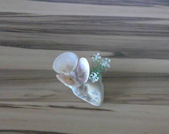 Flower of stones and mussels with seaweed imitation