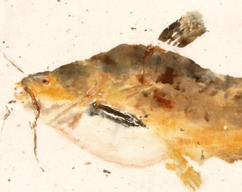Butter Catfish - Gyotaku Fish Rubbing - Limited Edition Print (15 x 7.5)