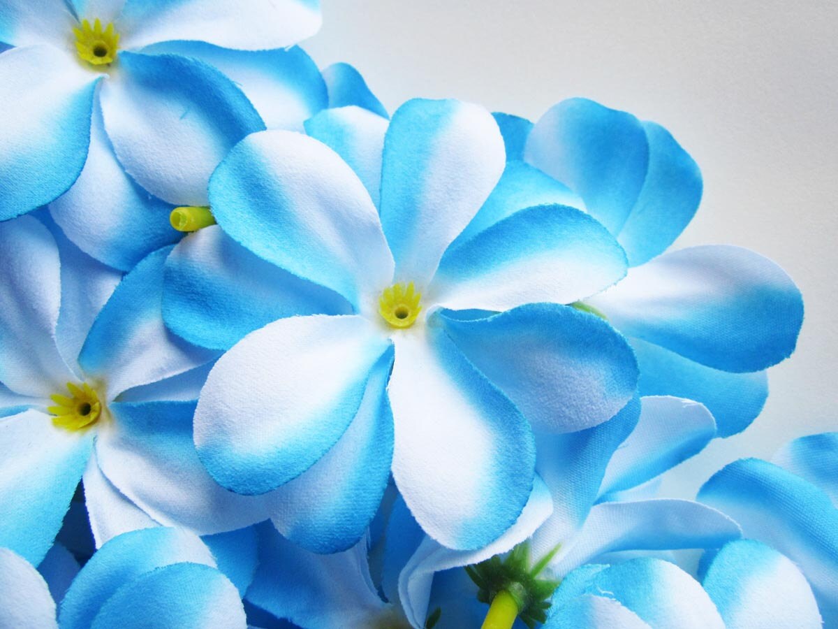 12 Blue Plumeria Frangipani Heads Artificial Silk Flower 3