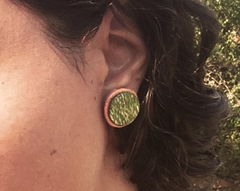 Wild Juju Green Salvaged Wood Stud Earrings- Dyed Silky Oak & Tasmanian Myrtle
