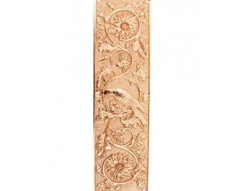 Brigand Abbey Solid brass ornate fingerplate