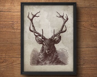 Deer antlers poster, Deer antlers print, Antlers deer print, Deer head print, Deer antler decor, Reindeer antlers, Deer print, Deer wall art