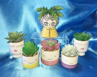 Trendy Face Planter, Succulent Planter, Faux Succulent, Desk Accessory, Artificial Succulent Arrangement, Mini Planter, Succulent Gift