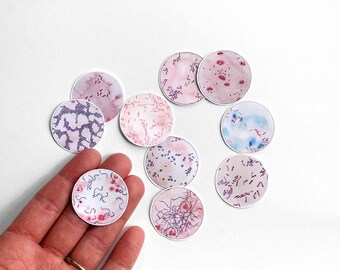 Bacteria, Vinyl Stickers, Science Sticker, Microbiology, Biology, Science vinyl sticker, dna, laptop stickers, cool stickers, geekery, micro