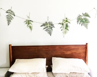 forest fern botanical banner | preserved ferns